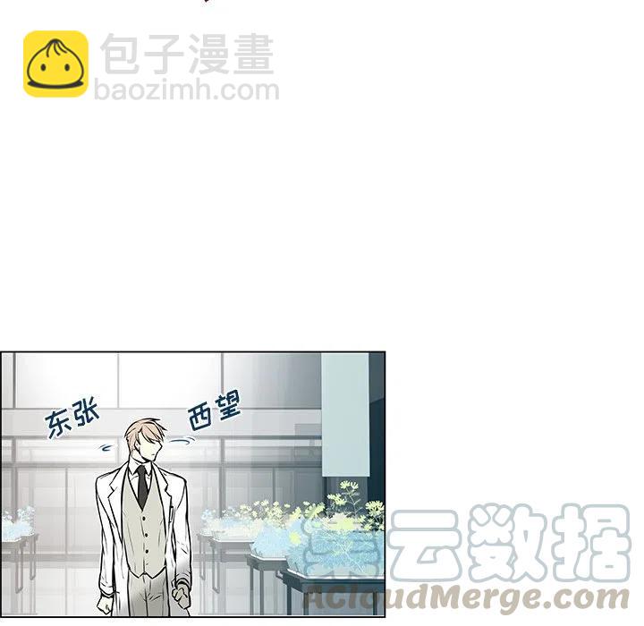 《Settia》8 第40页