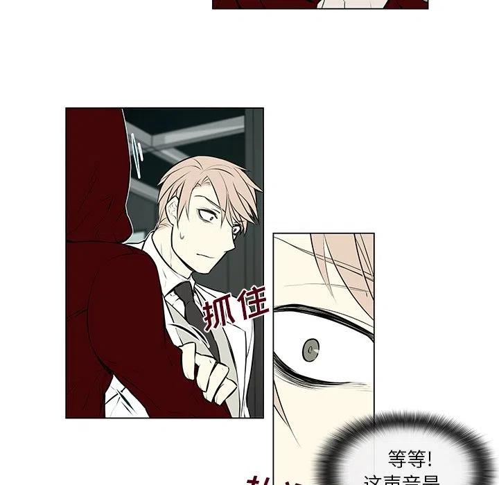 《Settia》8 第45页