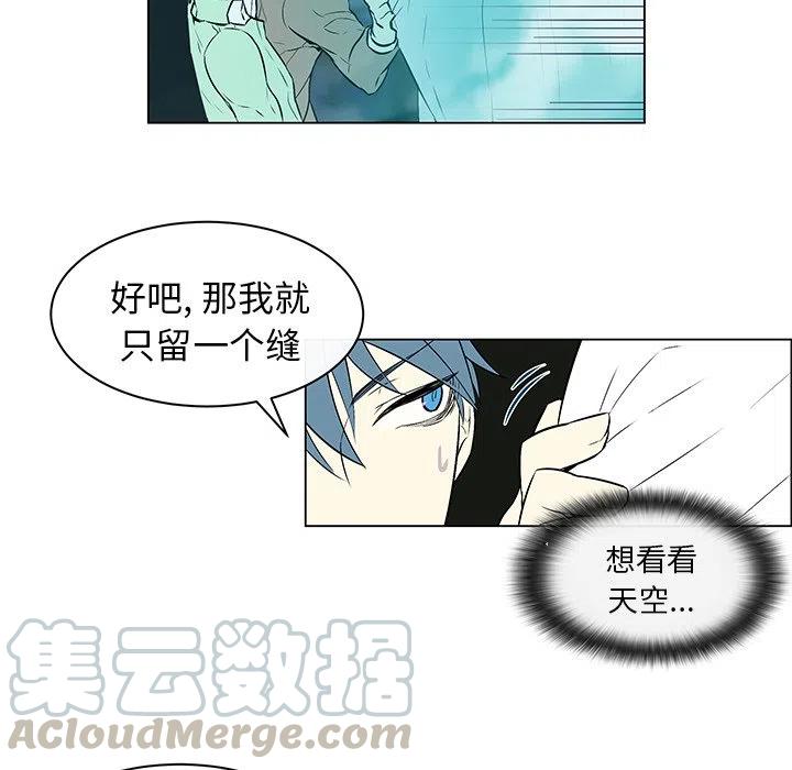 《Settia》11 第28页