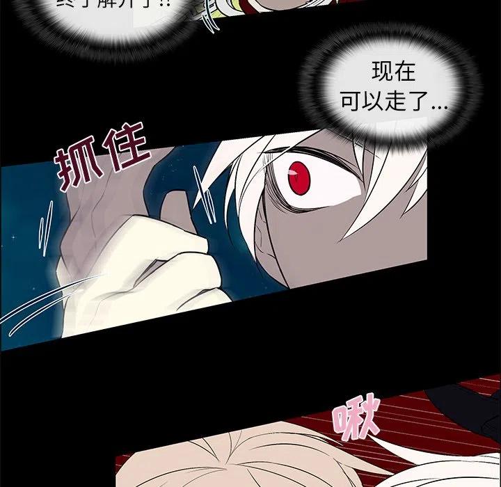 《Settia》10 第24页