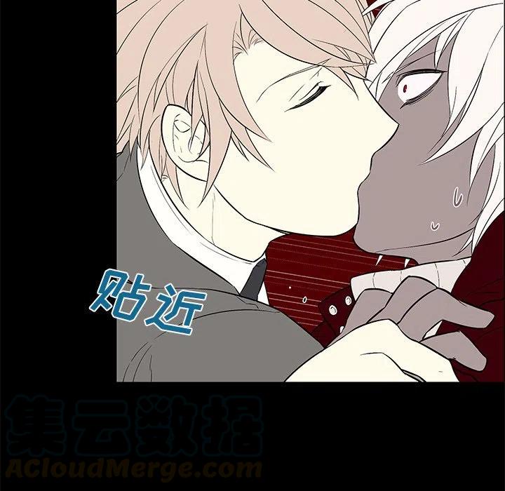 《Settia》10 第25页
