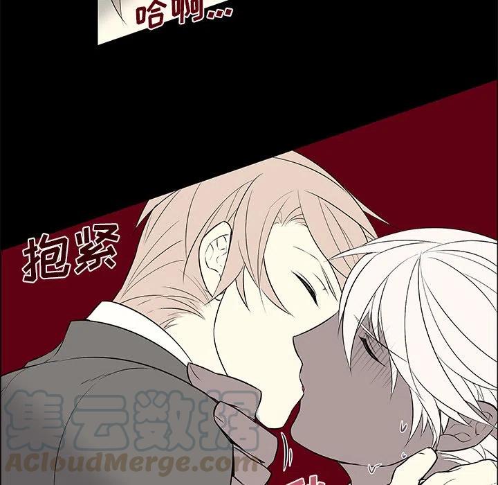 《Settia》10 第28页