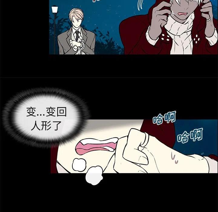 《Settia》10 第32页