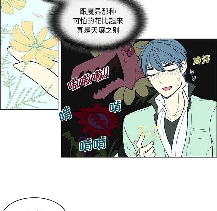 《Settia》12 第8页