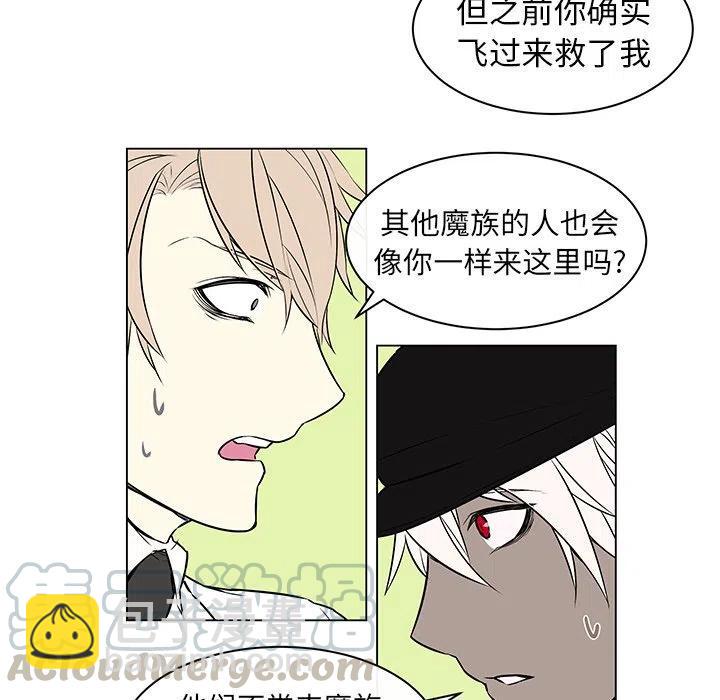 《Settia》9 第13页