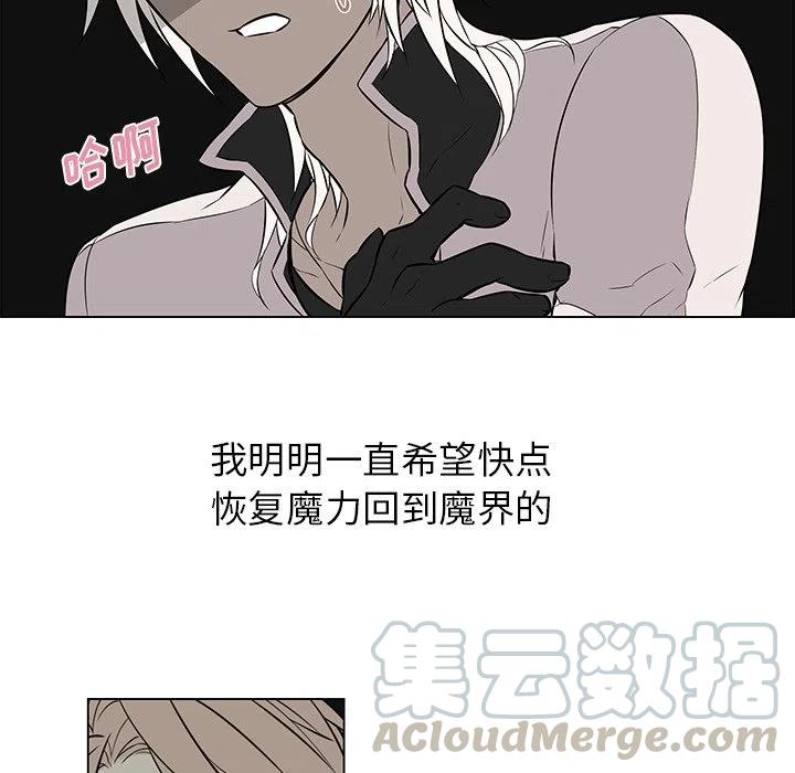 《Settia》15 第25页