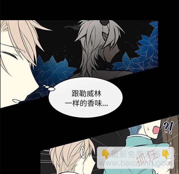 《Settia》14 第29页