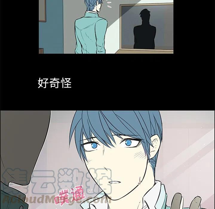 《Settia》14 第43页