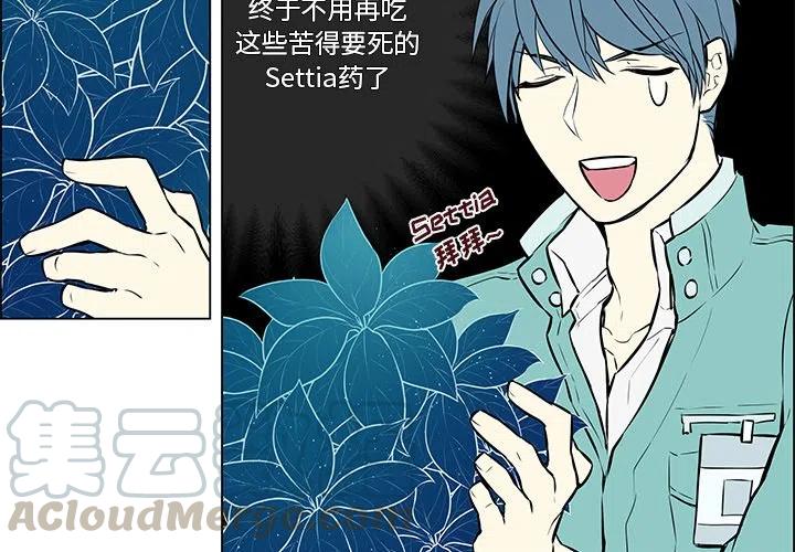 《Settia》14 第4页