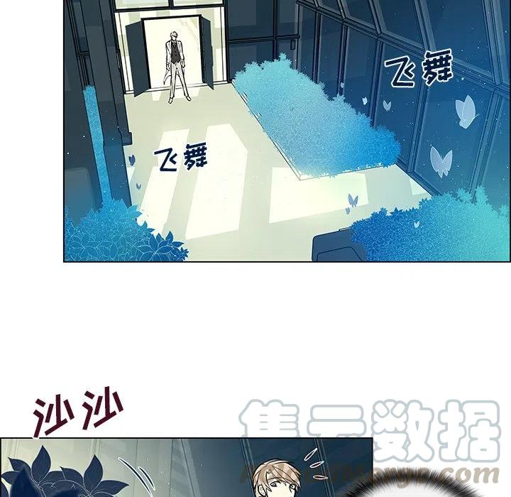 《Settia》13 第31页