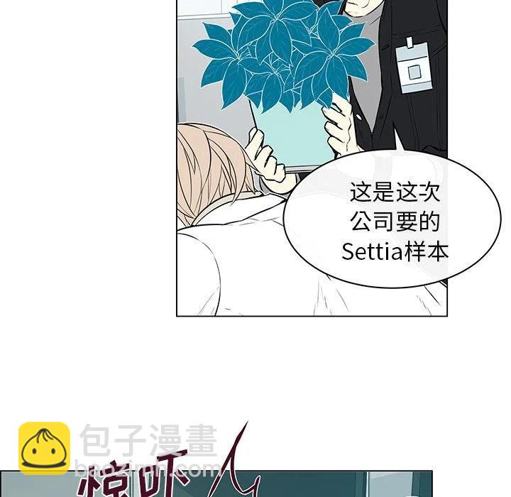 《Settia》13 第41页