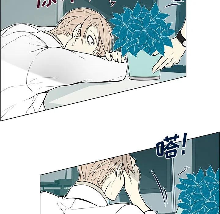 《Settia》13 第42页
