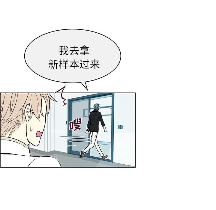 《Settia》13 第47页