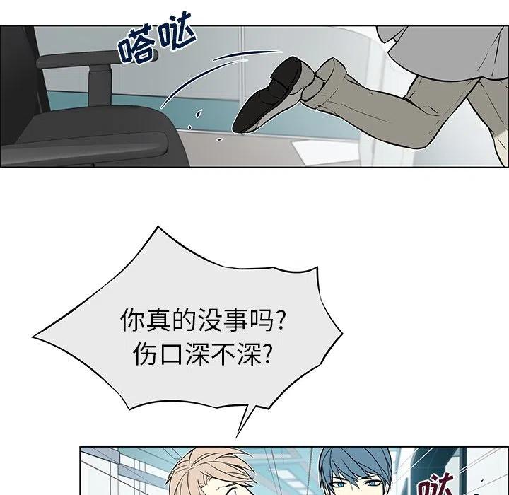 《Settia》13 第48页