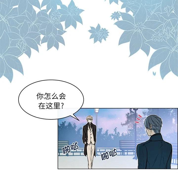 《Settia》19 第6页