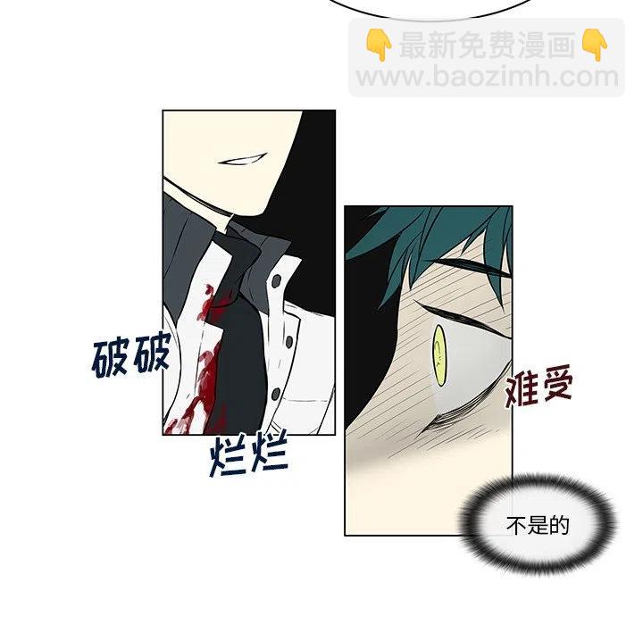 《Settia》17 第12页