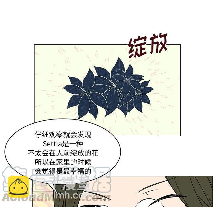 《Settia》17 第22页