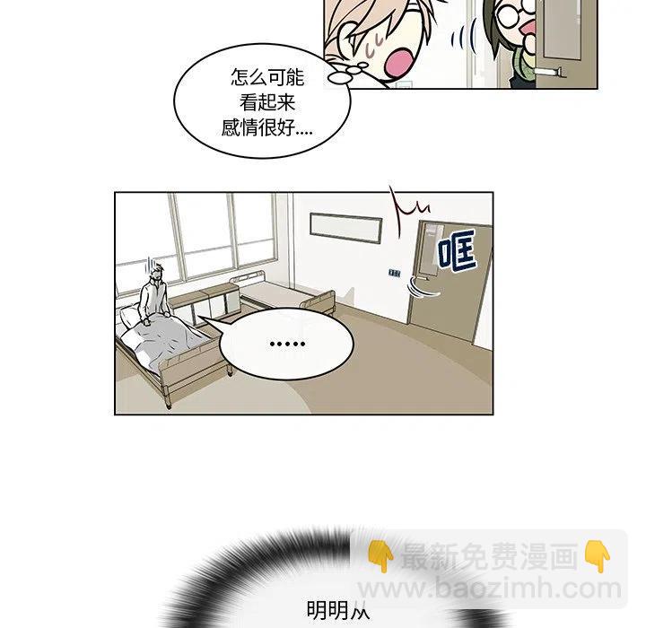 《Settia》17 第41页