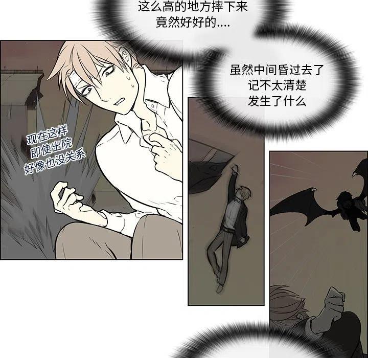《Settia》17 第42页