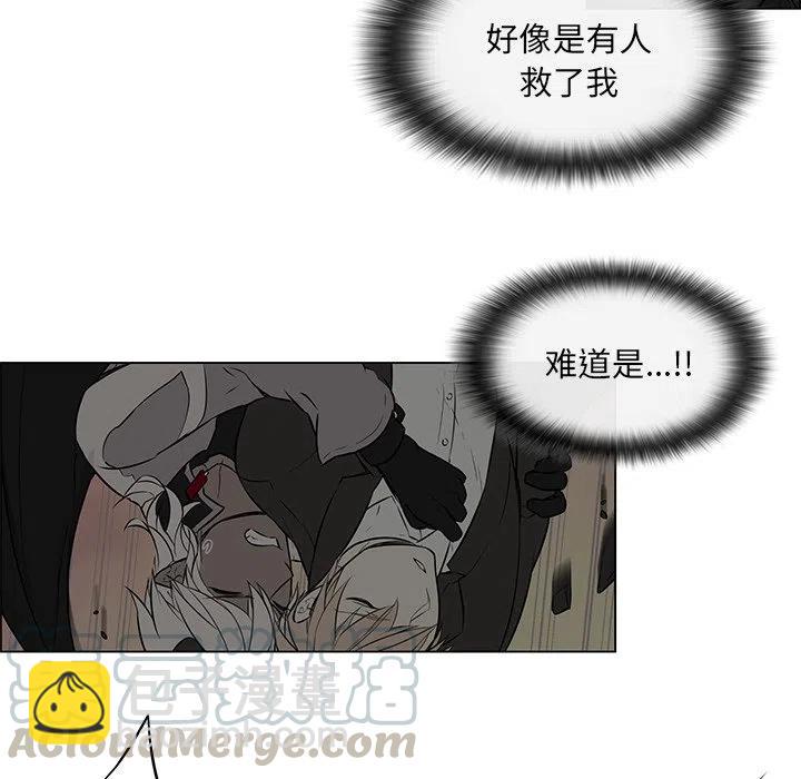 《Settia》17 第43页