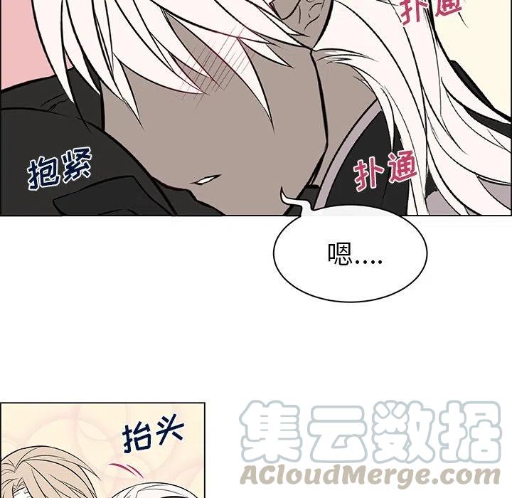 《Settia》18 第31页