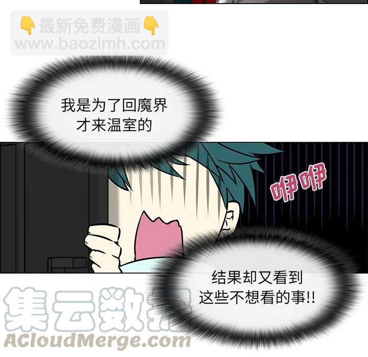 《Settia》18 第37页