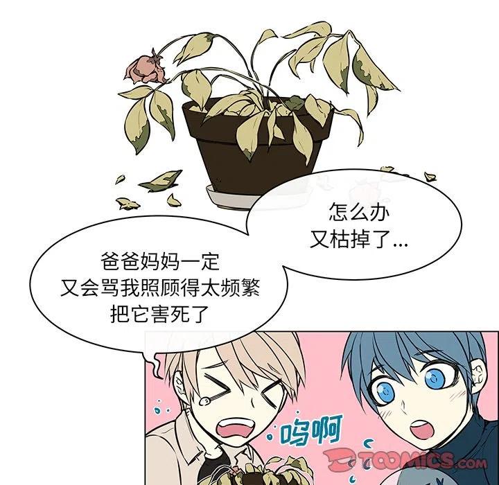 《Settia》22 第39页