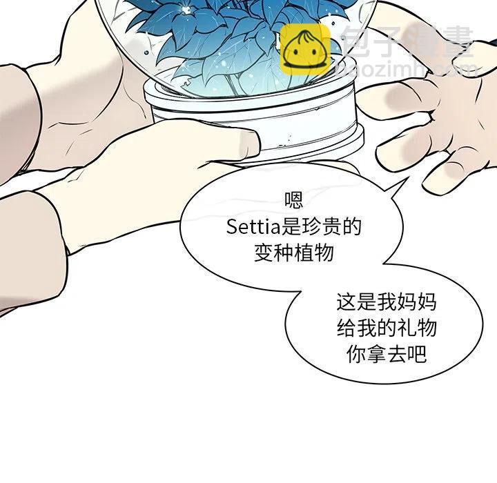 《Settia》22 第41页
