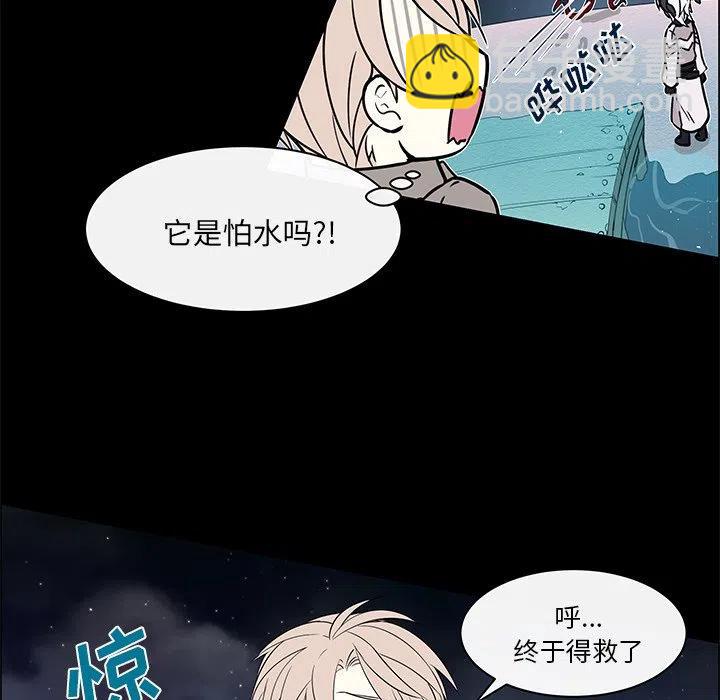 《Settia》24 第11页