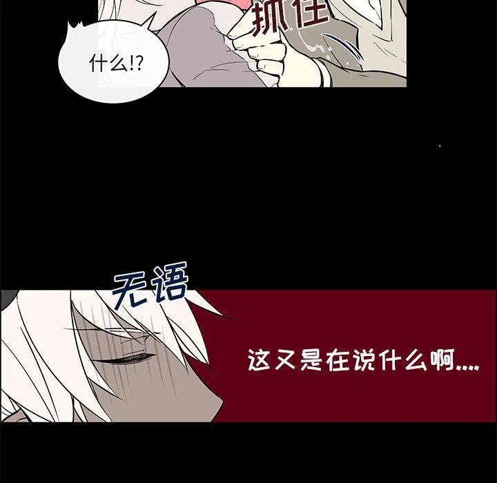 《Settia》24 第24页