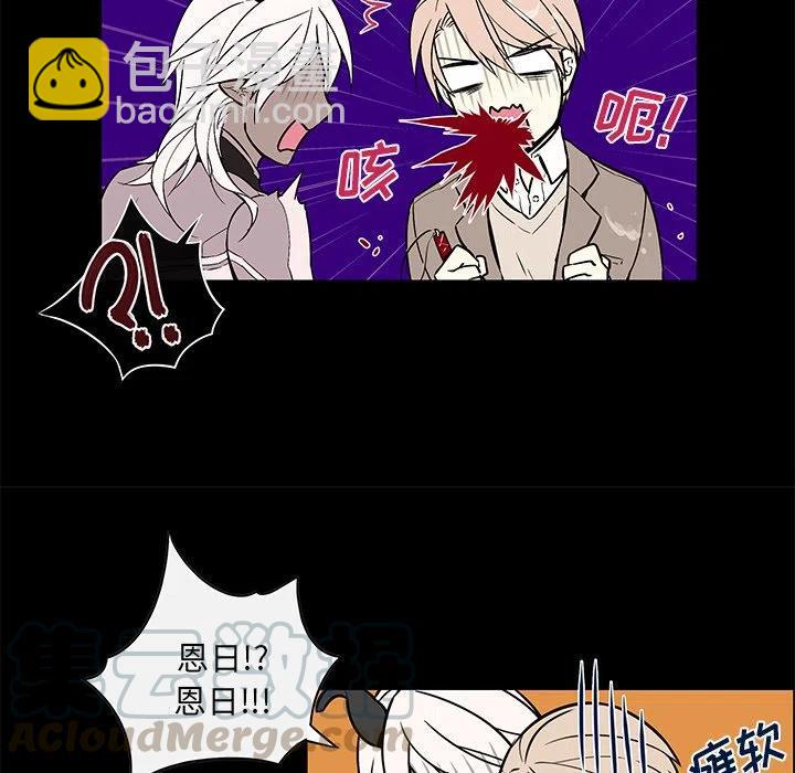 《Settia》24 第37页