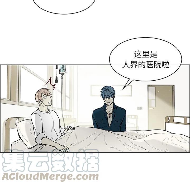 《Settia》24 第40页