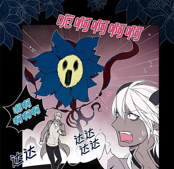 《Settia》24 第5页