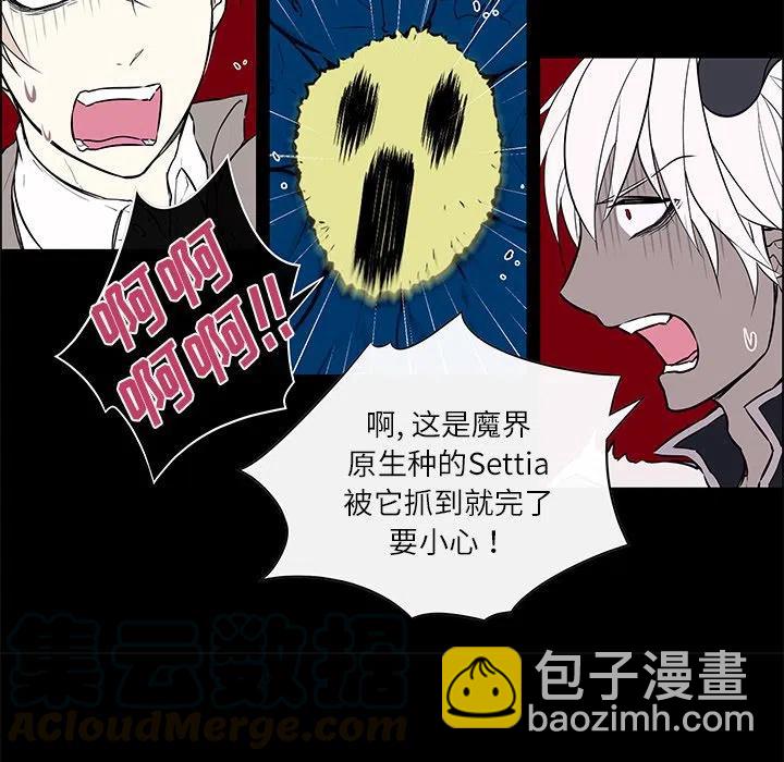 《Settia》24 第7页