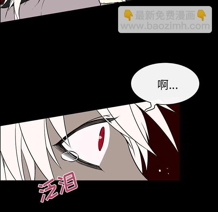 《Settia》21 第11页