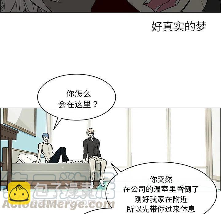 《Settia》21 第19页