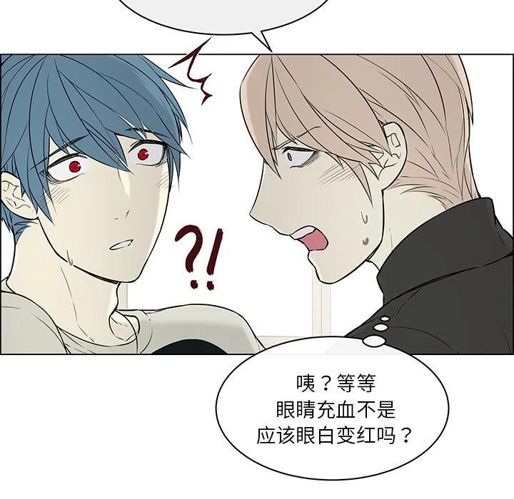《Settia》21 第24页