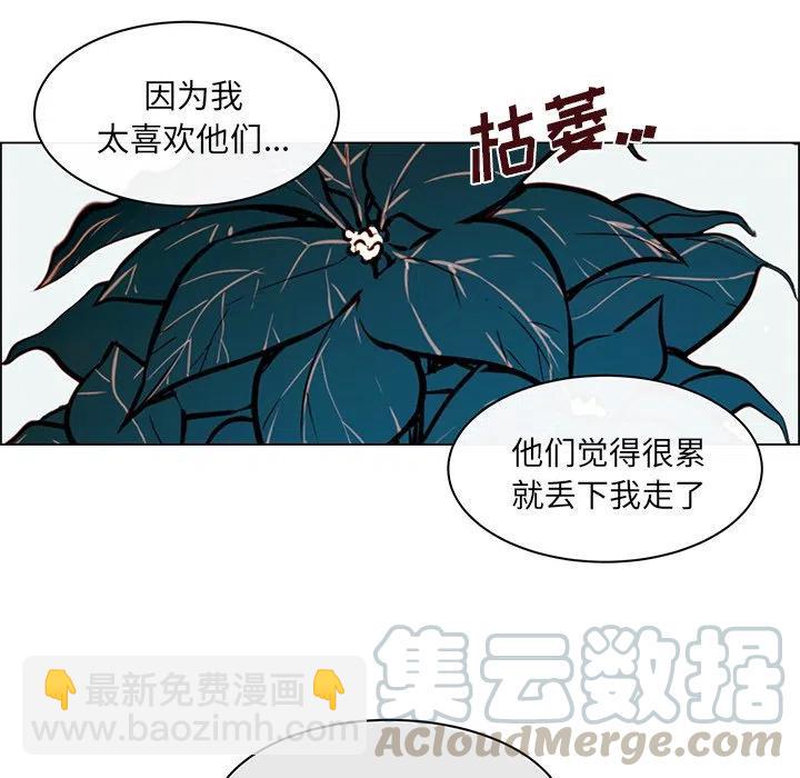 《Settia》23 第10页