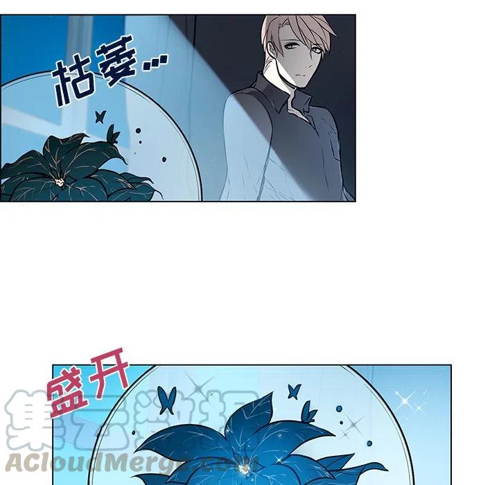 《Settia》23 第16页