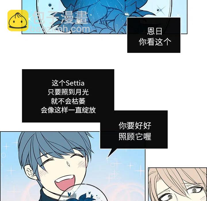 《Settia》23 第17页