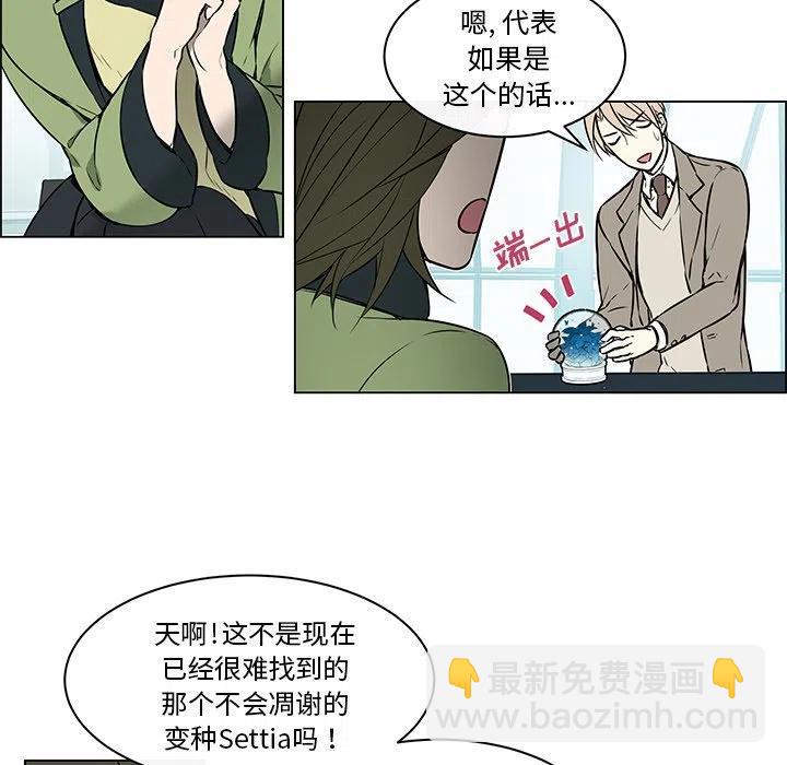 《Settia》23 第27页