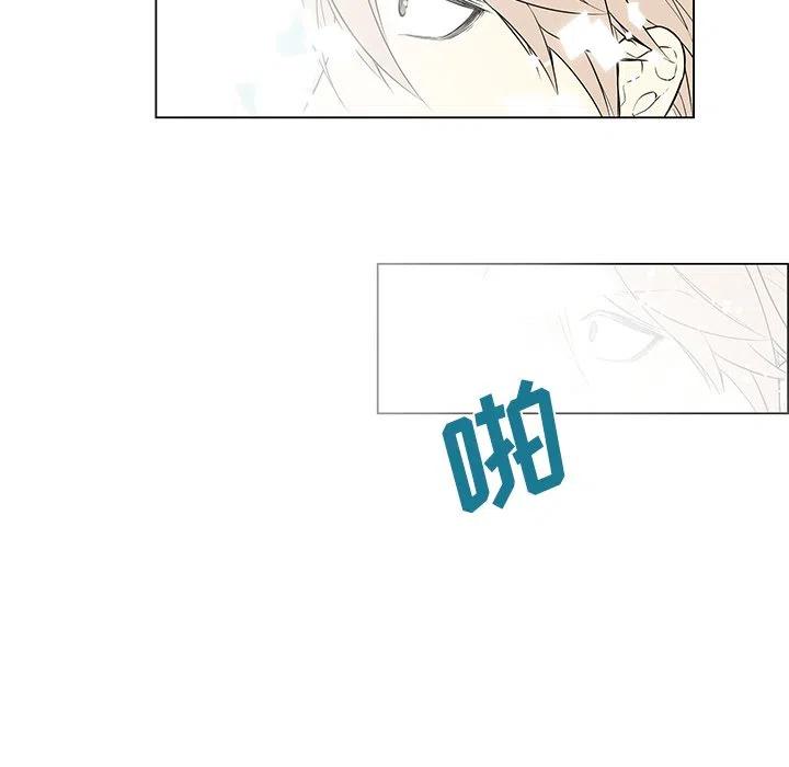 《Settia》23 第39页