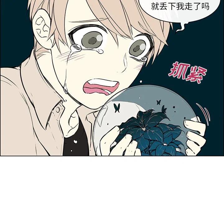 《Settia》23 第9页