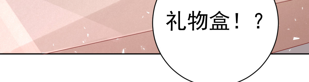《她，你也敢撩？》叶城的遗物 第44页