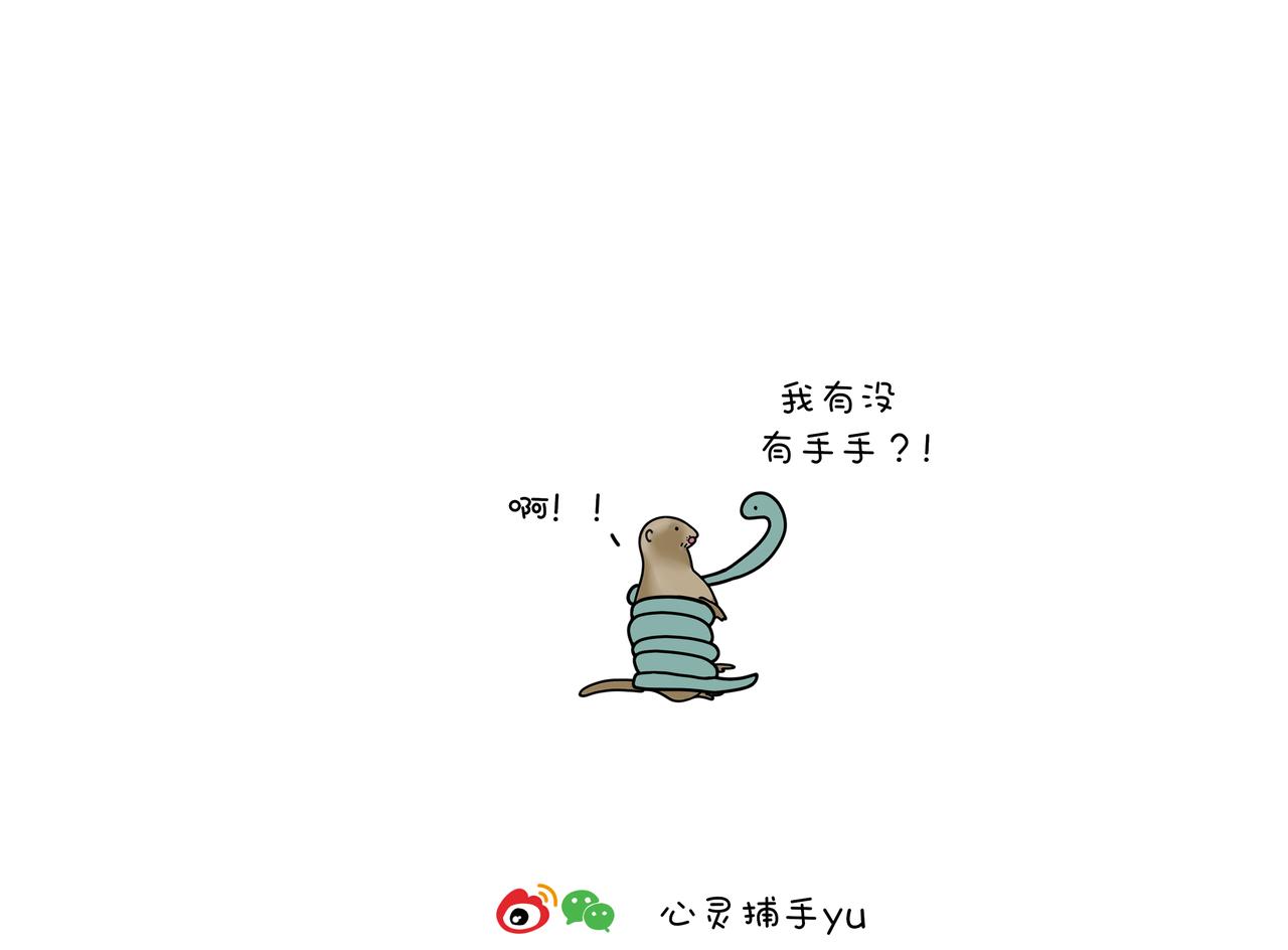 《动物联盟》喜欢这个礼物吗 第10页