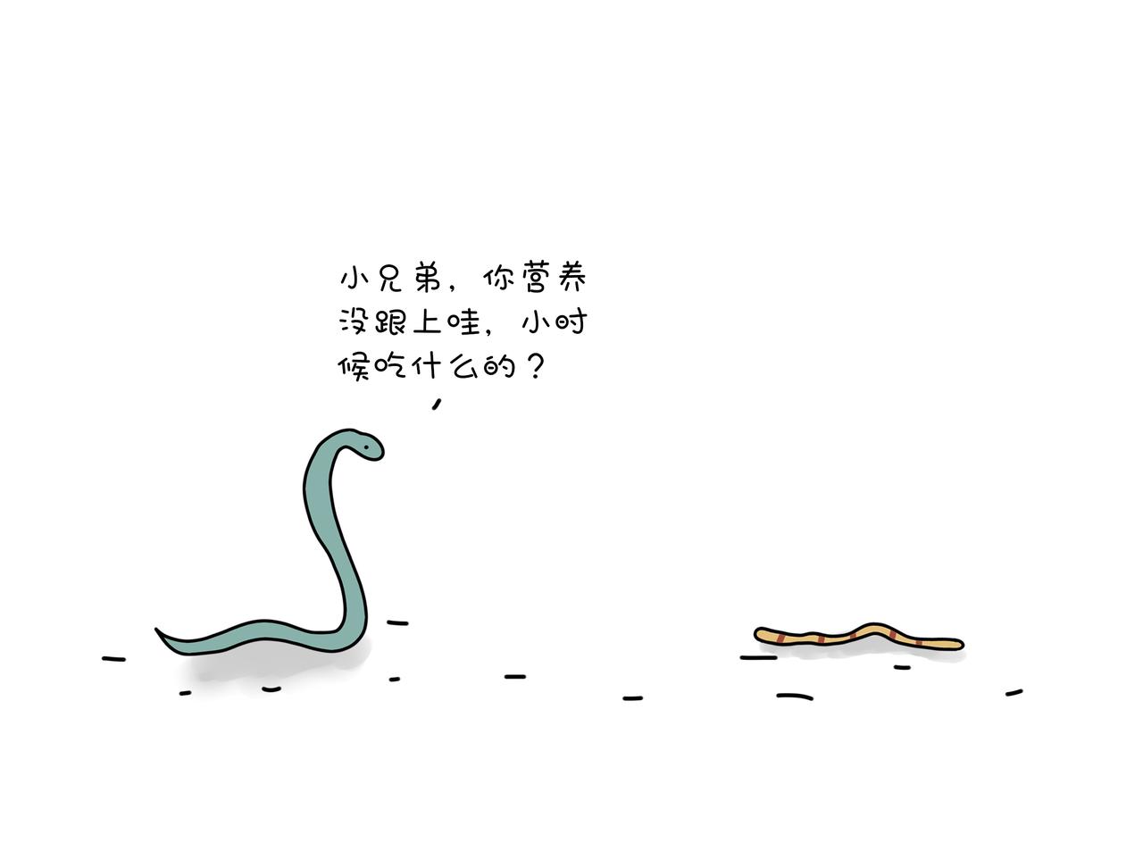 《动物联盟》喜欢这个礼物吗 第25页