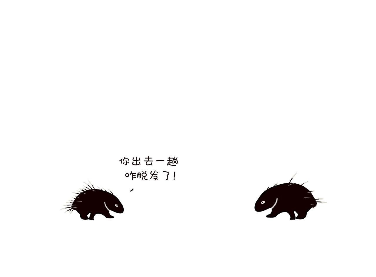 《动物联盟》喜欢这个礼物吗 第5页
