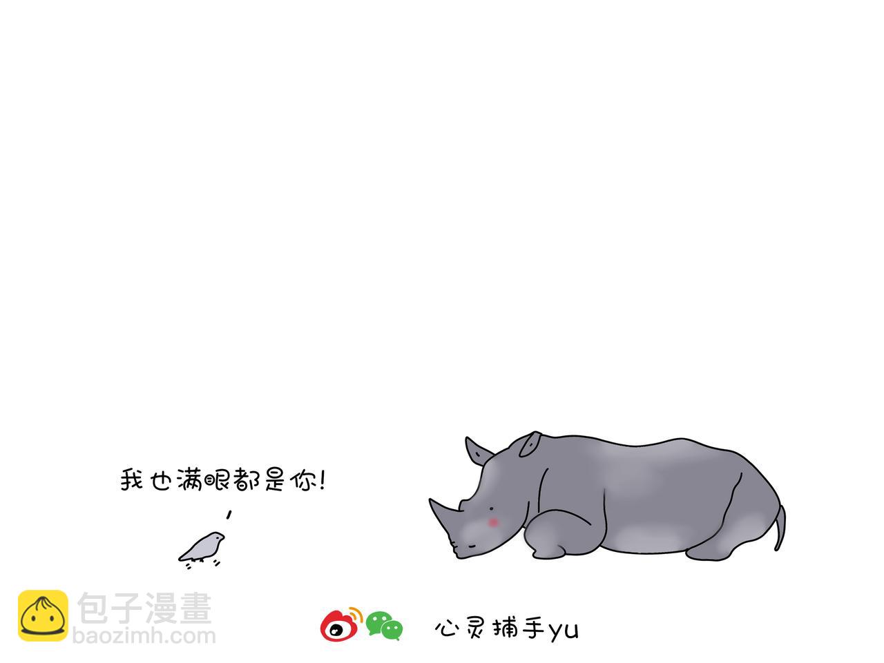 《动物联盟》我的眼里只有你 第11页