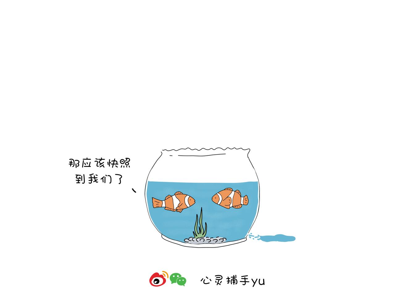 《动物联盟》我的眼里只有你 第9页