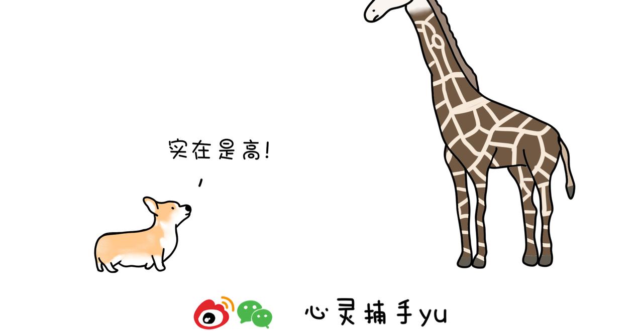 《动物联盟》明天我再喜欢你 第4页